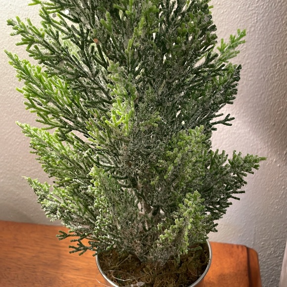 Artificial Faux Cedar Pine Decoration Potted Plant Flocked with Glitter Like - Picture 4 of 15